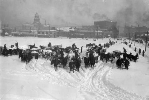 Men in Civic Center unload snow laden horse-drawn wagons after the snowstorm of 1913 in Denver, Colorado. Shows pedestrians on the sidewalk, the Arapahoe County Courthouse building and the Majestic Hotel are in the distance. A sign reads, "Oil and Gas (?) 500,000 Population for Denver, the Colorado Producers Oil Company." (1913)